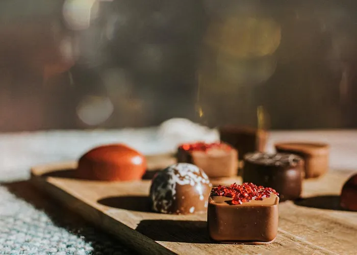 بريستول فندق 5*